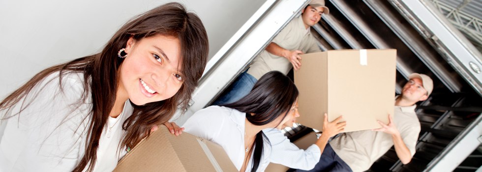 Professional Removalists Cannon Hill